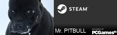 Mr. P!TBULL Steam Signature