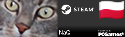NaQ Steam Signature