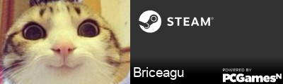 Briceagu Steam Signature