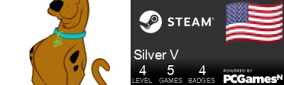 Silver V Steam Signature