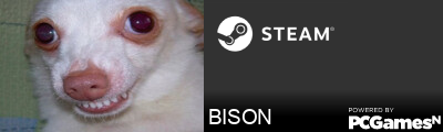BISON Steam Signature
