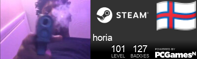 horia Steam Signature
