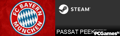 PASSAT PEEK Steam Signature