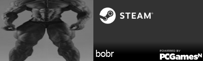 bobr Steam Signature