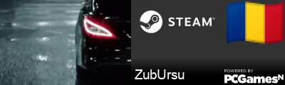 ZubUrsu Steam Signature