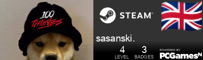 sasanski. Steam Signature