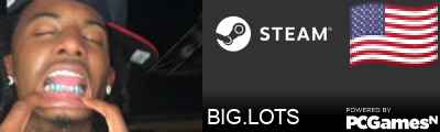 BIG.LOTS Steam Signature