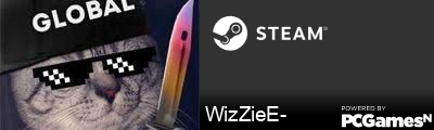 WizZieE- Steam Signature