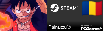 Painutzuツ Steam Signature