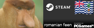 romanian feen Steam Signature