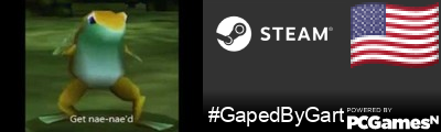 #GapedByGart Steam Signature