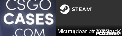 Micutu(doar ptr eurotruck) Steam Signature
