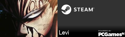 Levi Steam Signature