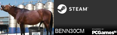 BENN30CM Steam Signature