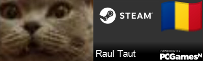 Raul Taut Steam Signature