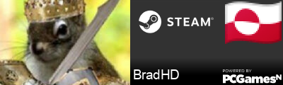 BradHD Steam Signature