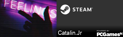 Catalin.Jr Steam Signature