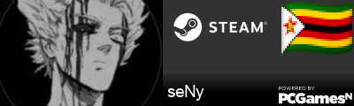 seNy Steam Signature