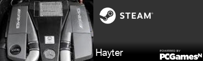 Hayter Steam Signature