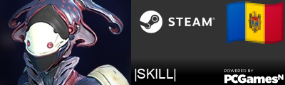 |SKILL| Steam Signature