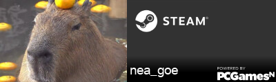 nea_goe Steam Signature