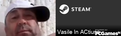 Vasile In ACtiune Steam Signature