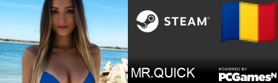 MR.QUICK Steam Signature