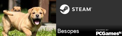 Besopes Steam Signature