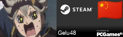 Gelu48 Steam Signature