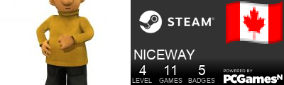 NICEWAY Steam Signature