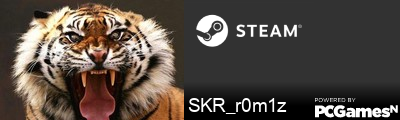 SKR_r0m1z Steam Signature