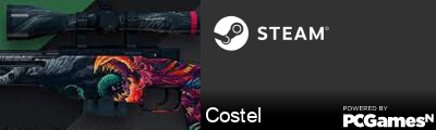 Costel Steam Signature
