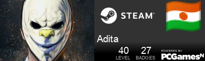 Adita Steam Signature