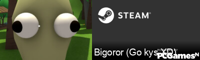 Bigoror (Go kys XD) Steam Signature