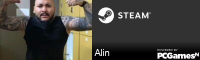 Alin Steam Signature