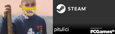 pitulici Steam Signature