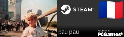 pau pau Steam Signature