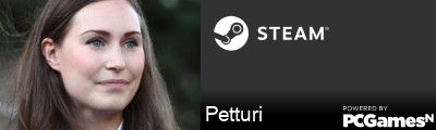 Petturi Steam Signature