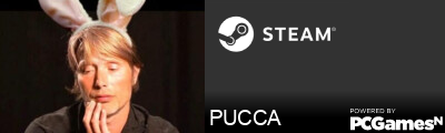 PUCCA Steam Signature