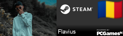 Flavius Steam Signature
