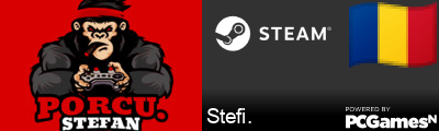 Stefi. Steam Signature