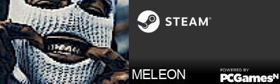 MELEON Steam Signature