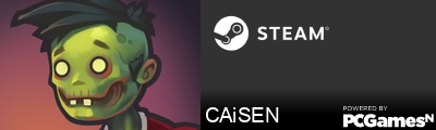 CAiSEN Steam Signature