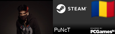 PuNcT Steam Signature