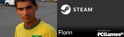 Florin Steam Signature