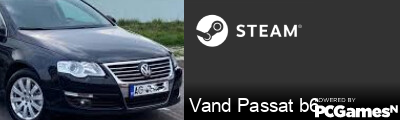 Vand Passat b6 Steam Signature