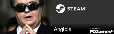 Angiole Steam Signature