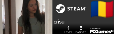 crisu Steam Signature