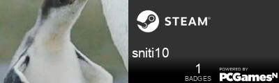 sniti10 Steam Signature