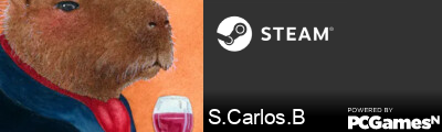 S.Carlos.B Steam Signature